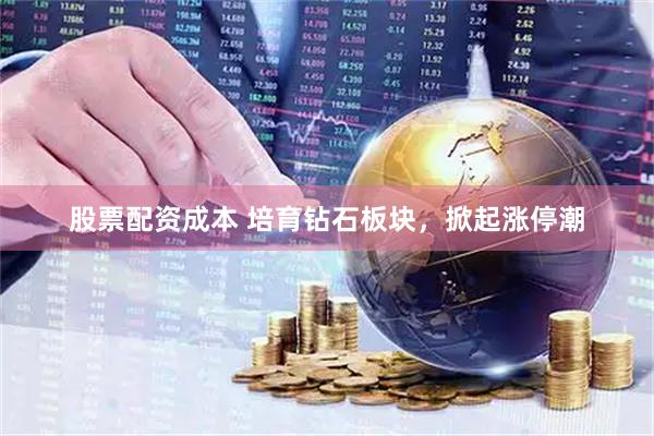 股票配资成本 培育钻石板块，掀起涨停潮