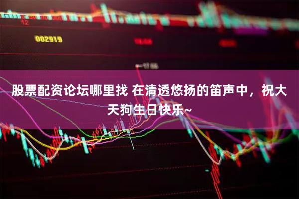 股票配资论坛哪里找 在清透悠扬的笛声中，祝大天狗生日快乐~